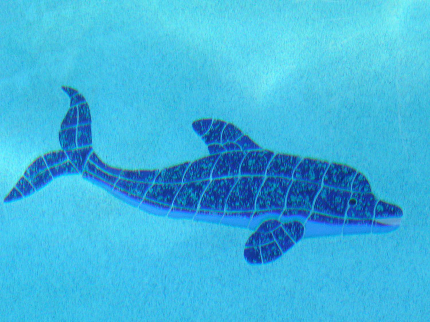 Dolphin Retreat - East Boca Raton Villa Kültér fotó